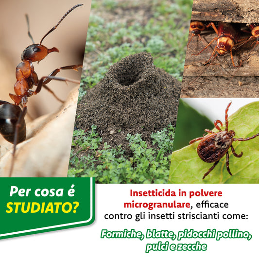 VerdeVita Antiformiche 1kg – Soluzione Efficace per Proteggere il Tuo Giardino e La tua casa