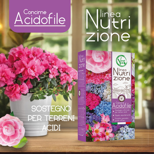 VerdeVita Concime Specifico per Piante Acidofile – Nutrizione Ideale per Azalee, Camelie e Ortensie