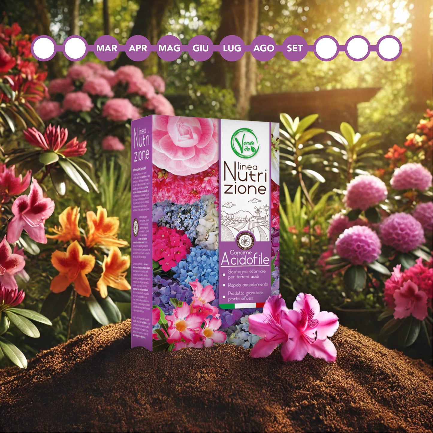 VerdeVita Concime Specifico per Piante Acidofile – Nutrizione Ideale per Azalee, Camelie e Ortensie