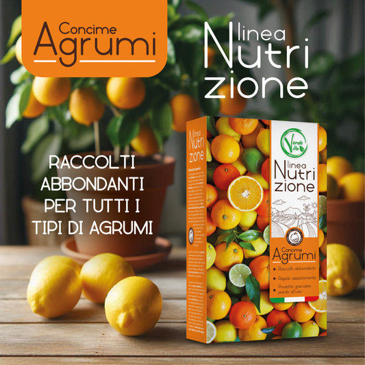 VerdeVita Concime Speciale per Agrumi – Nutrizione Ottimale per Frutti Sani e Gustosi
