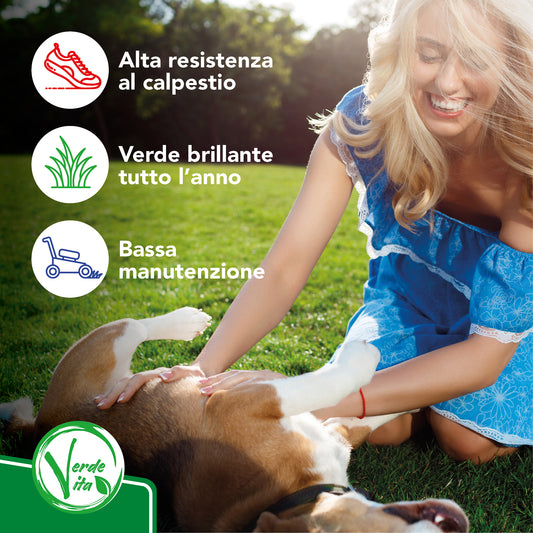 Verdevita Semi Prato Calpestabile - Crescita Vigorosa per un Giardino Resistente e Sempre Verde!