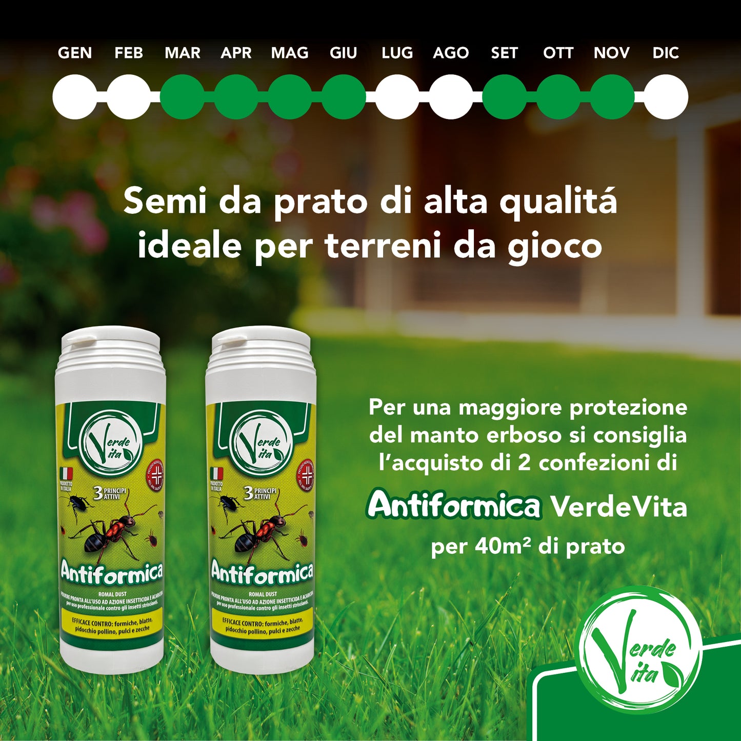 Verdevita Semi Prato Calpestabile - Crescita Vigorosa per un Giardino Resistente e Sempre Verde!