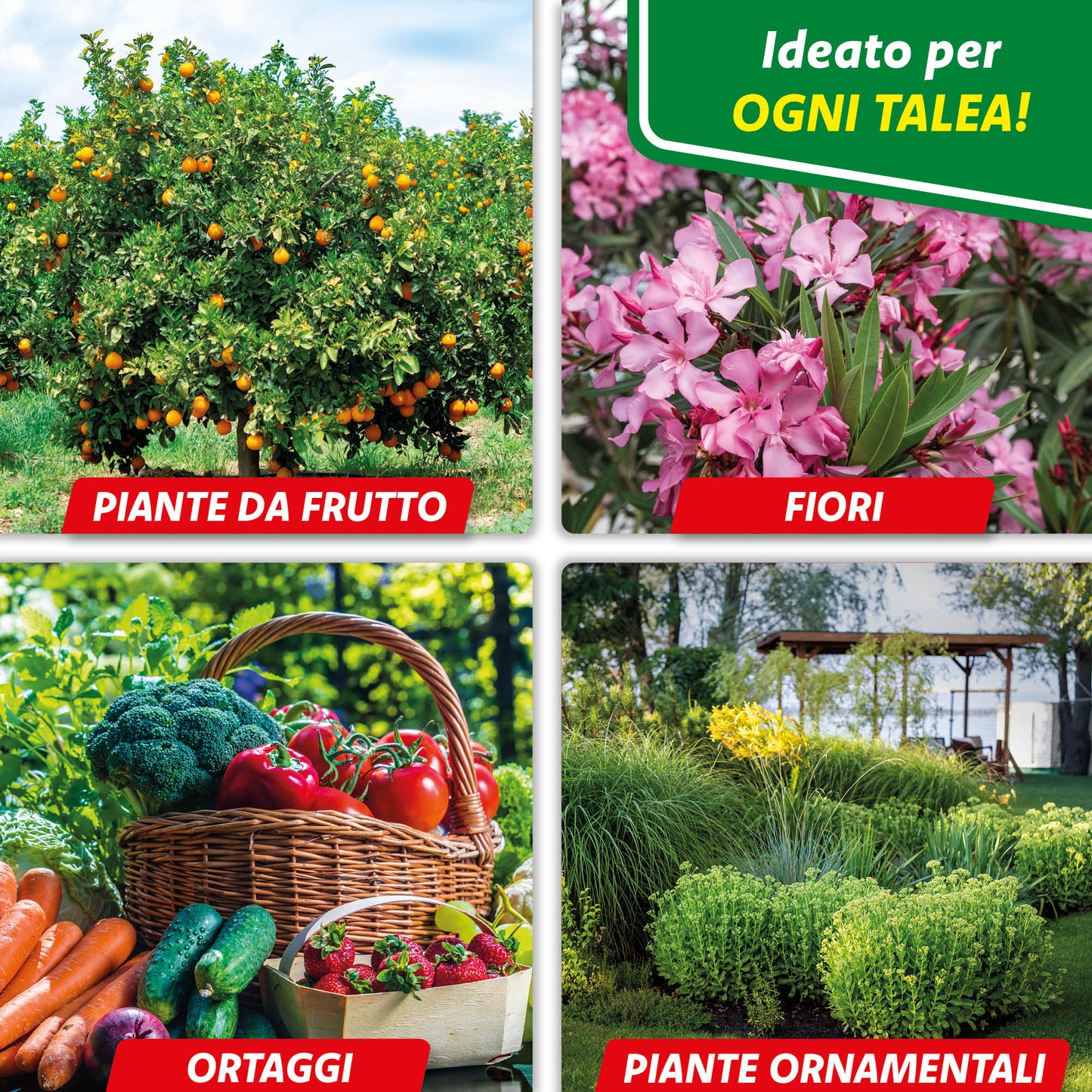 VerdeVita Radicante Potente – Stimola la Crescita e lo Sviluppo delle Radici per Piante Forti e Sane