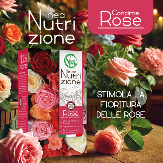 VerdeVita Concime per Rose Granulare – Fertilizzante Ad Alta Performance per Fiori Più Sani e Rigogliosi