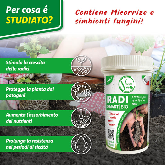 VerdeVita Radicante Potente – Stimola la Crescita e lo Sviluppo delle Radici per Piante Forti e Sane